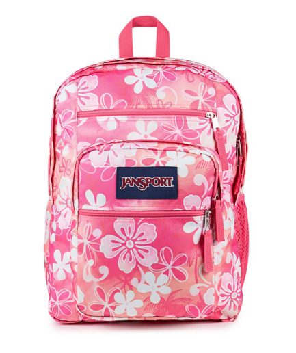 Plecak JanSport Big Student - Różowy